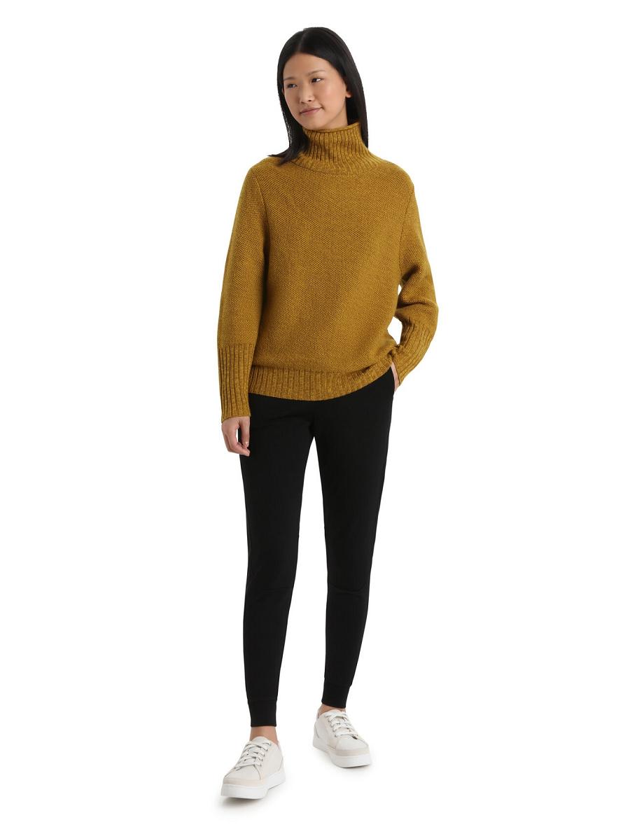 Clove / Silent Gold Women's Icebreaker Merino Seevista Funnel Neck Sweaters | USA 1626WNBY